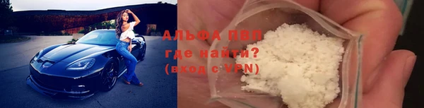 ПСИЛОЦИБИНОВЫЕ ГРИБЫ Сясьстрой